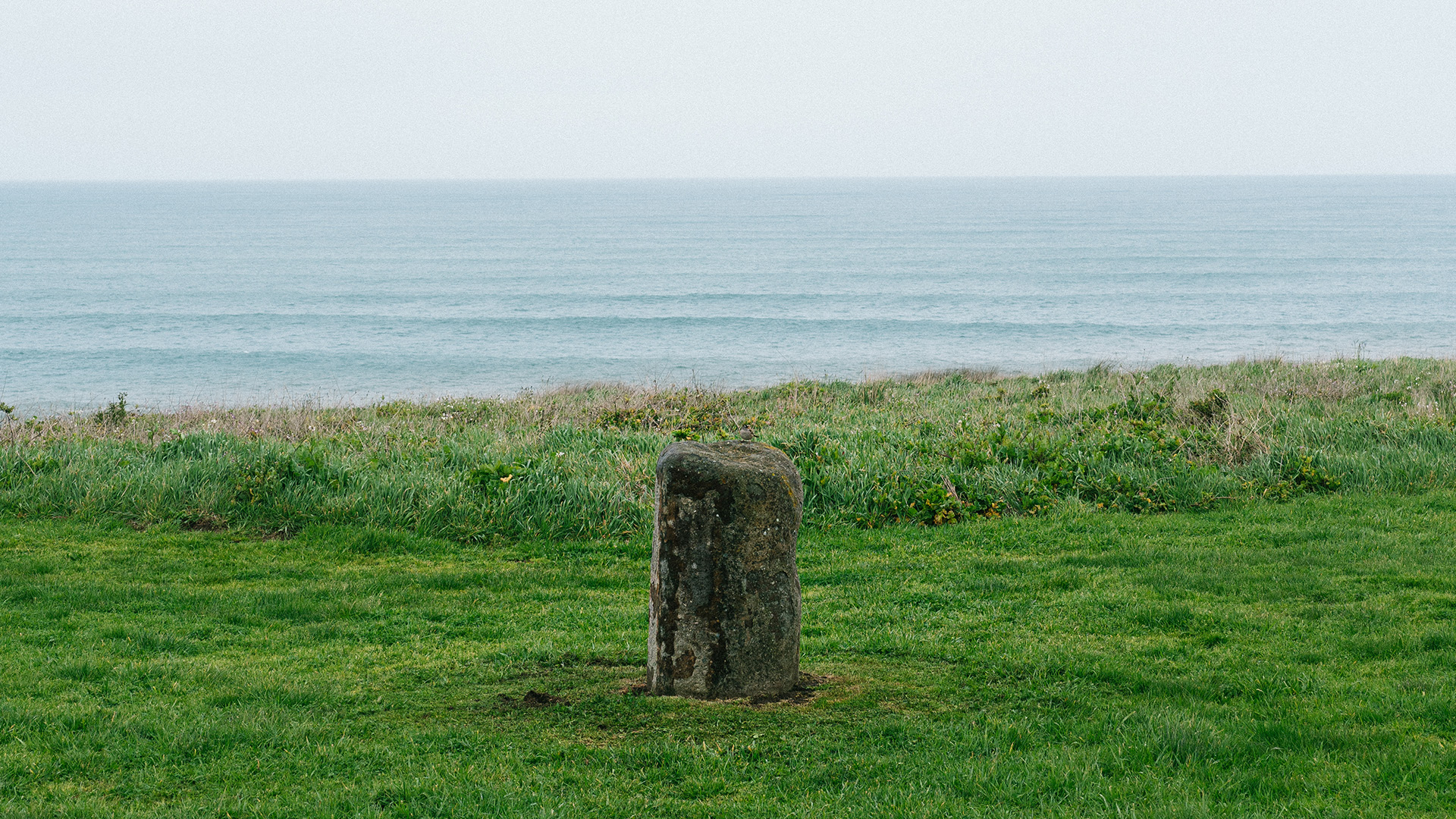 a stone in the grass by the ocean
