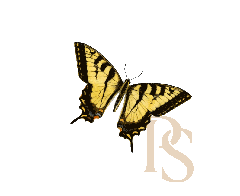 a yellow butterfly with a black background