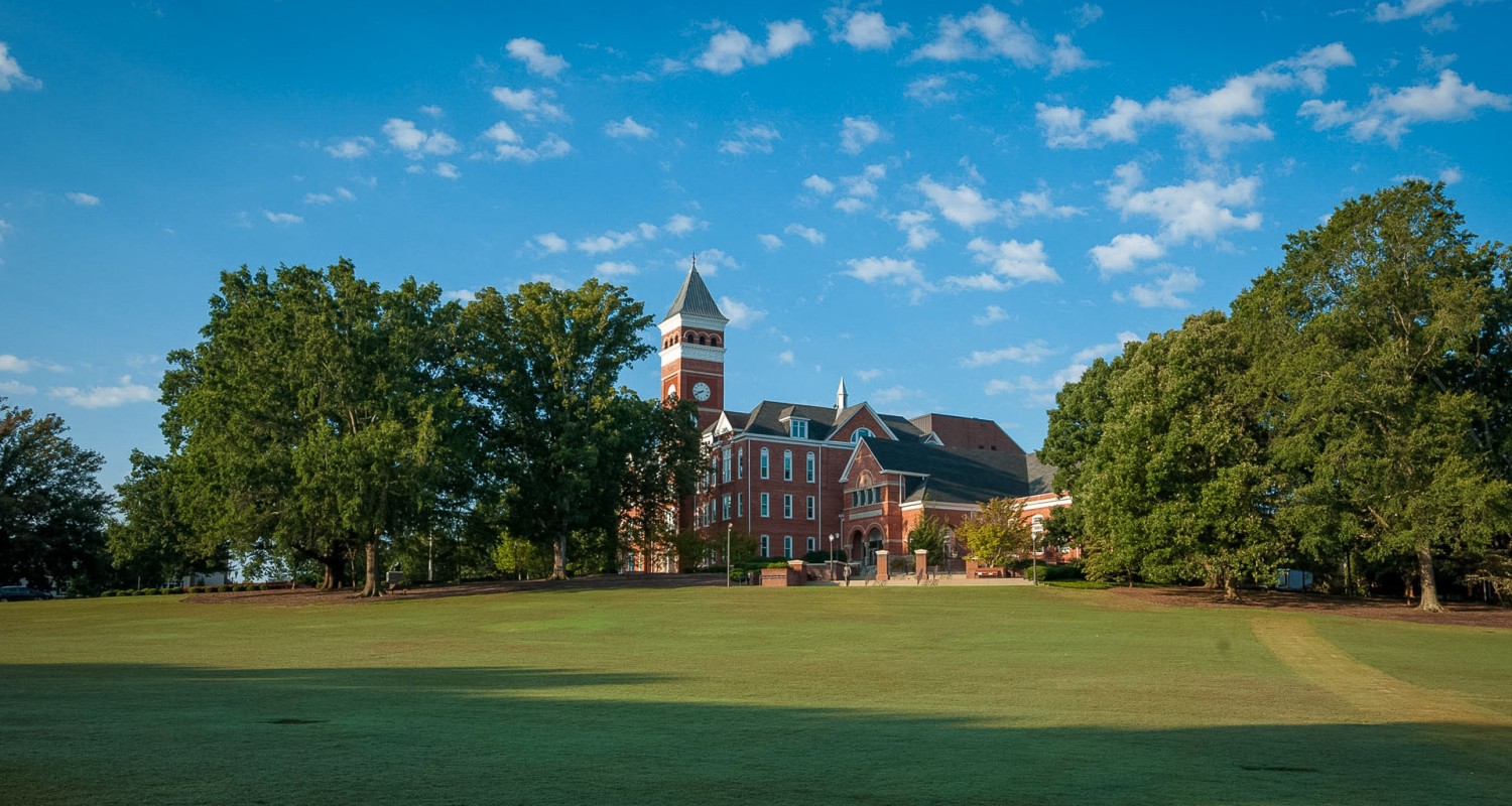 a large lawn with trees and a building with a clock tower