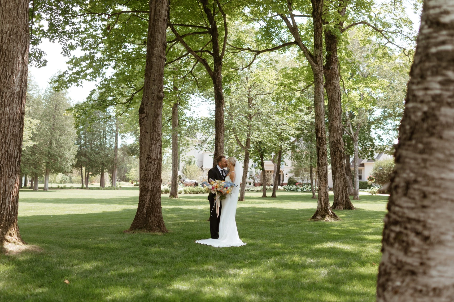 a bride and groom kissing under trees