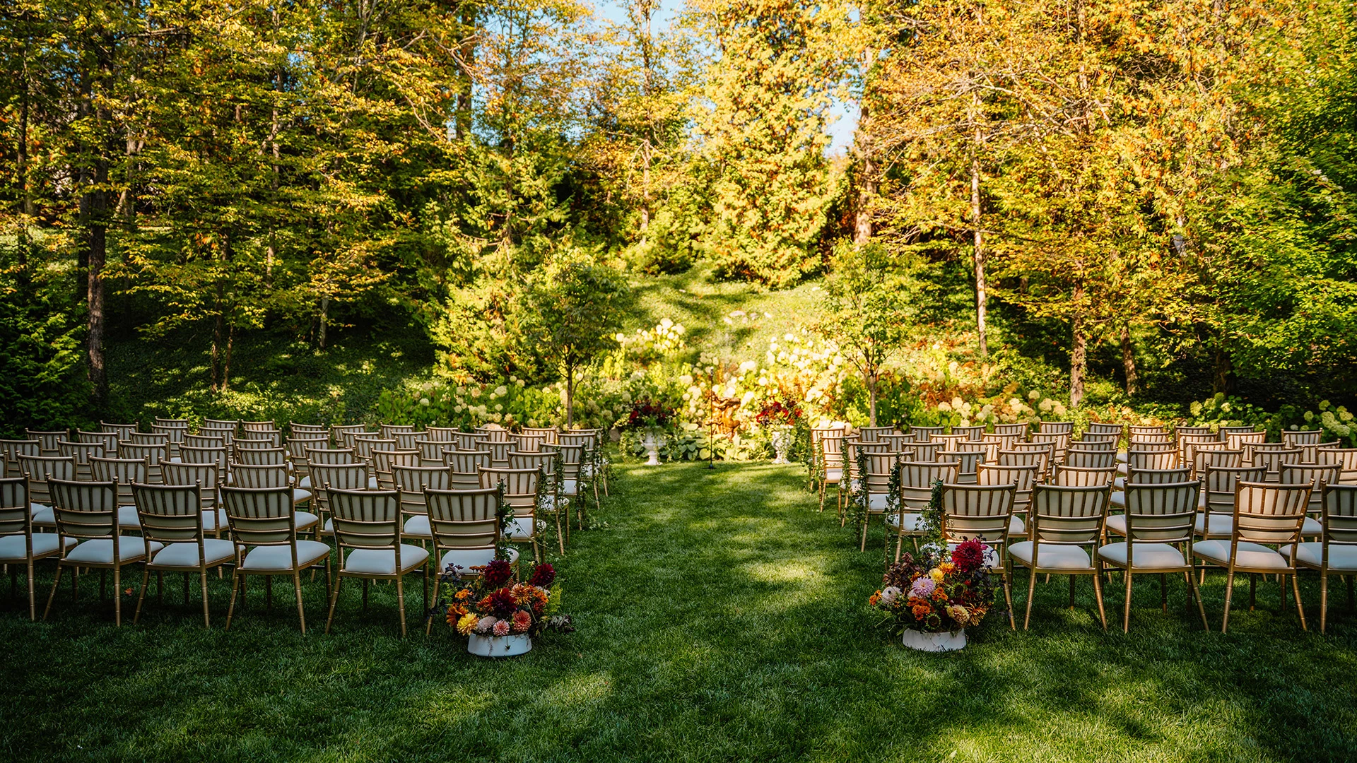 a rows of chairs in a garden