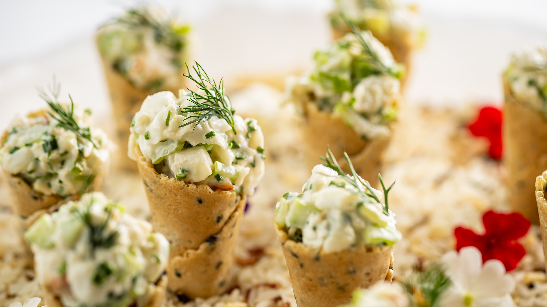a group of food on a plate