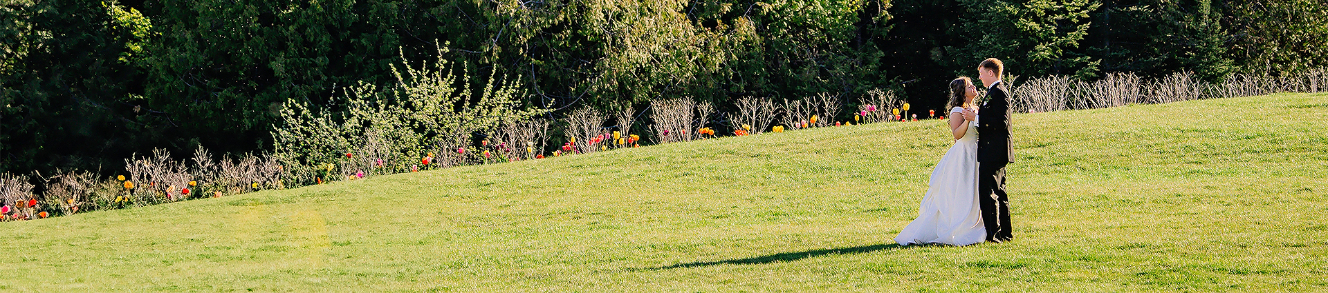 a grass field with flowers