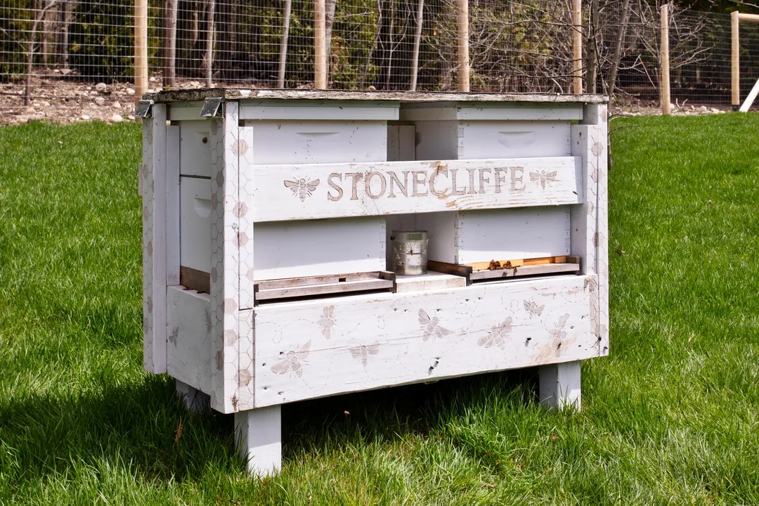 Experience beekeeping with Dave Zimmermann at The Inn at Stonecliffe on Mackinac Island. Learn about honey bees, sustainability, and orchard life at this luxury resort.