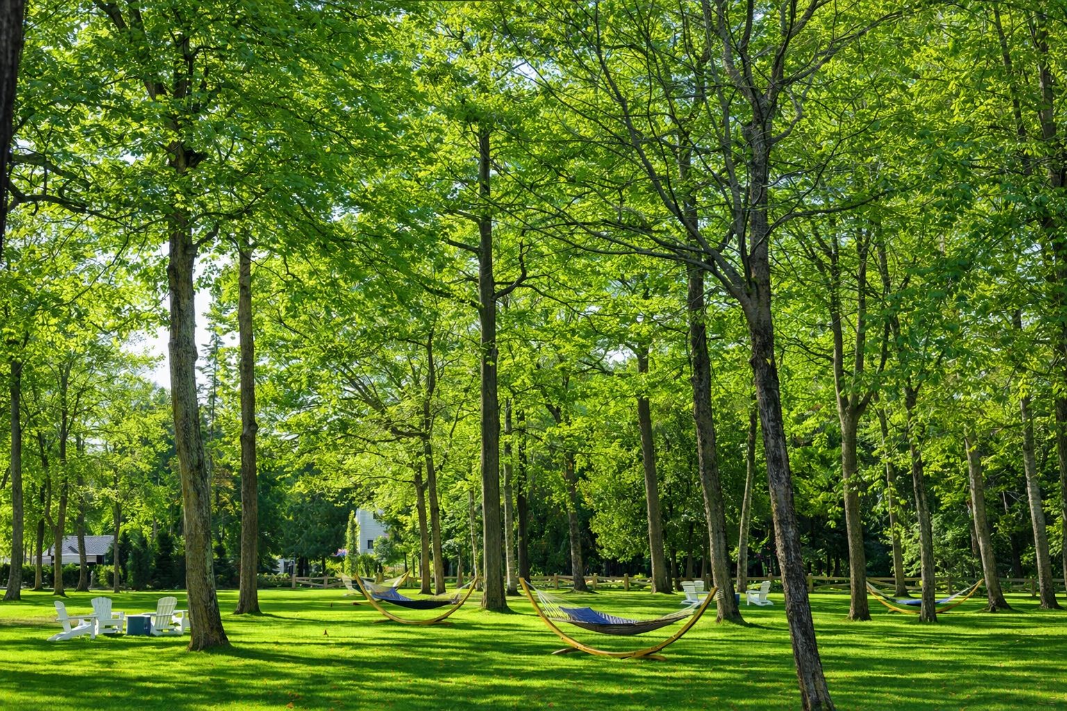 Hammocks beneath tall maple trees on the peaceful lawn at The Inn at Stonecliffe on Mackinac Island, a quiet luxury resort in the Midwest surrounded by nature and scenic island landscapes