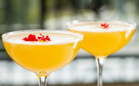 two glasses of yellow liquid with red flowers