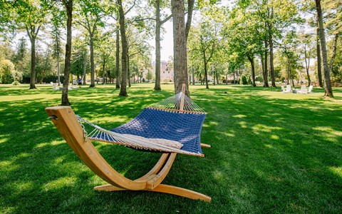 Hammock on the lawn at The Inn at Stonecliffe