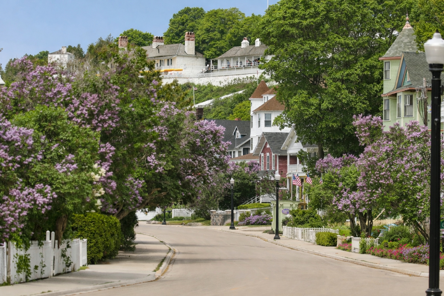 Quiet residential street on Mackinac Island lined with lilac trees and historic homes, illustrating everyday life for residents in a car-free community