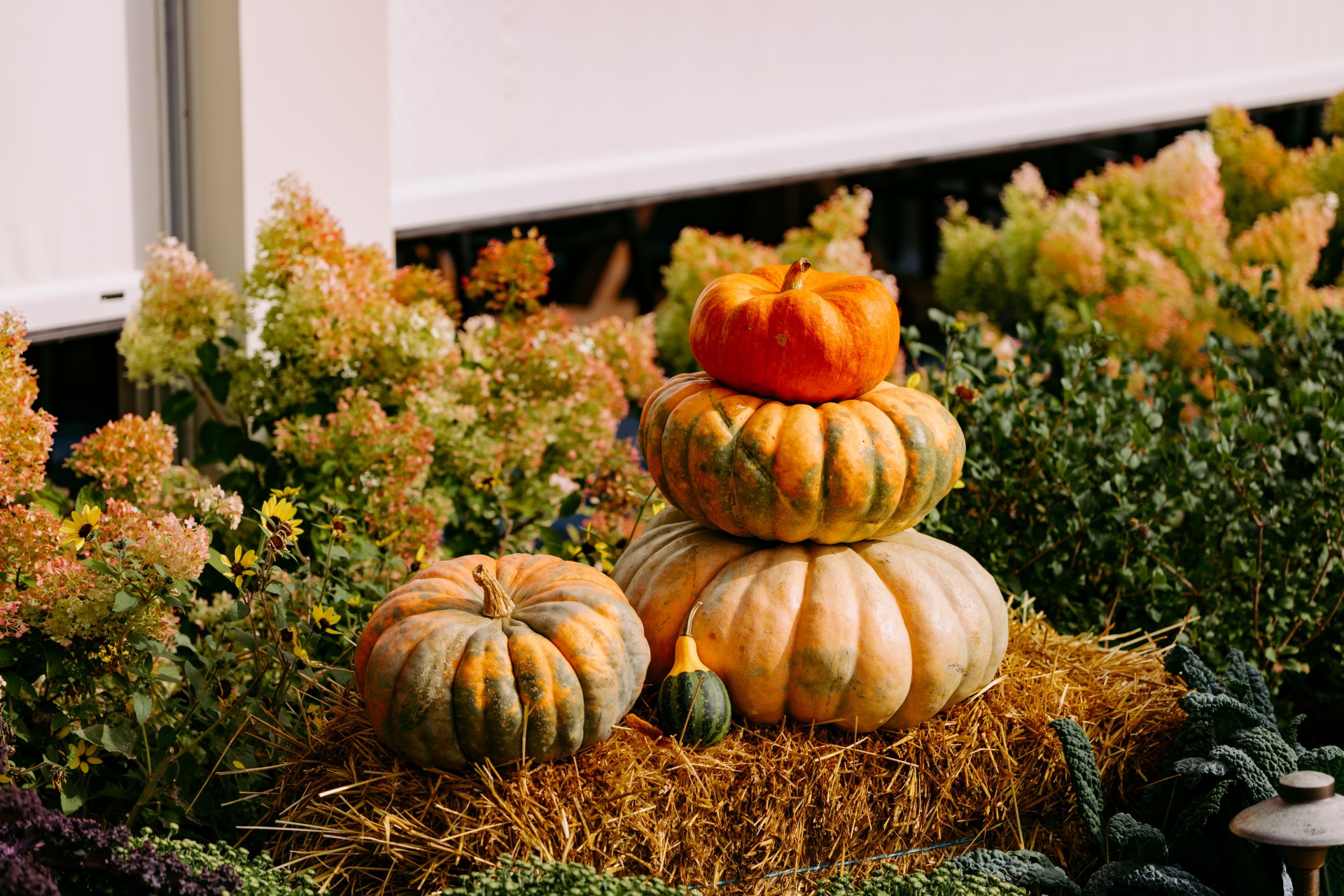 Beautiful pumpkin decor at Stonecliffe on Mackinac Island