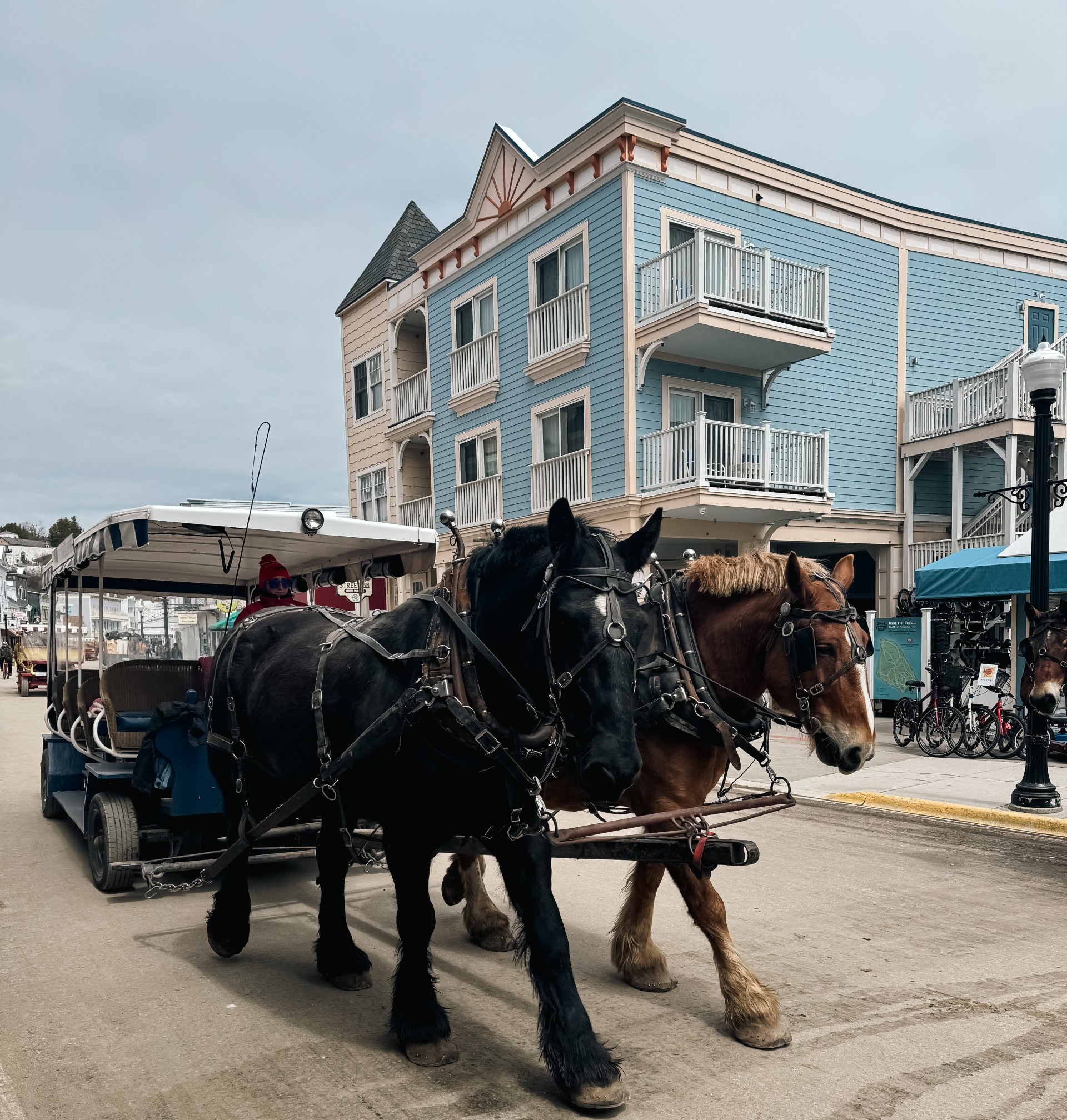 a horse drawn carriage in a city