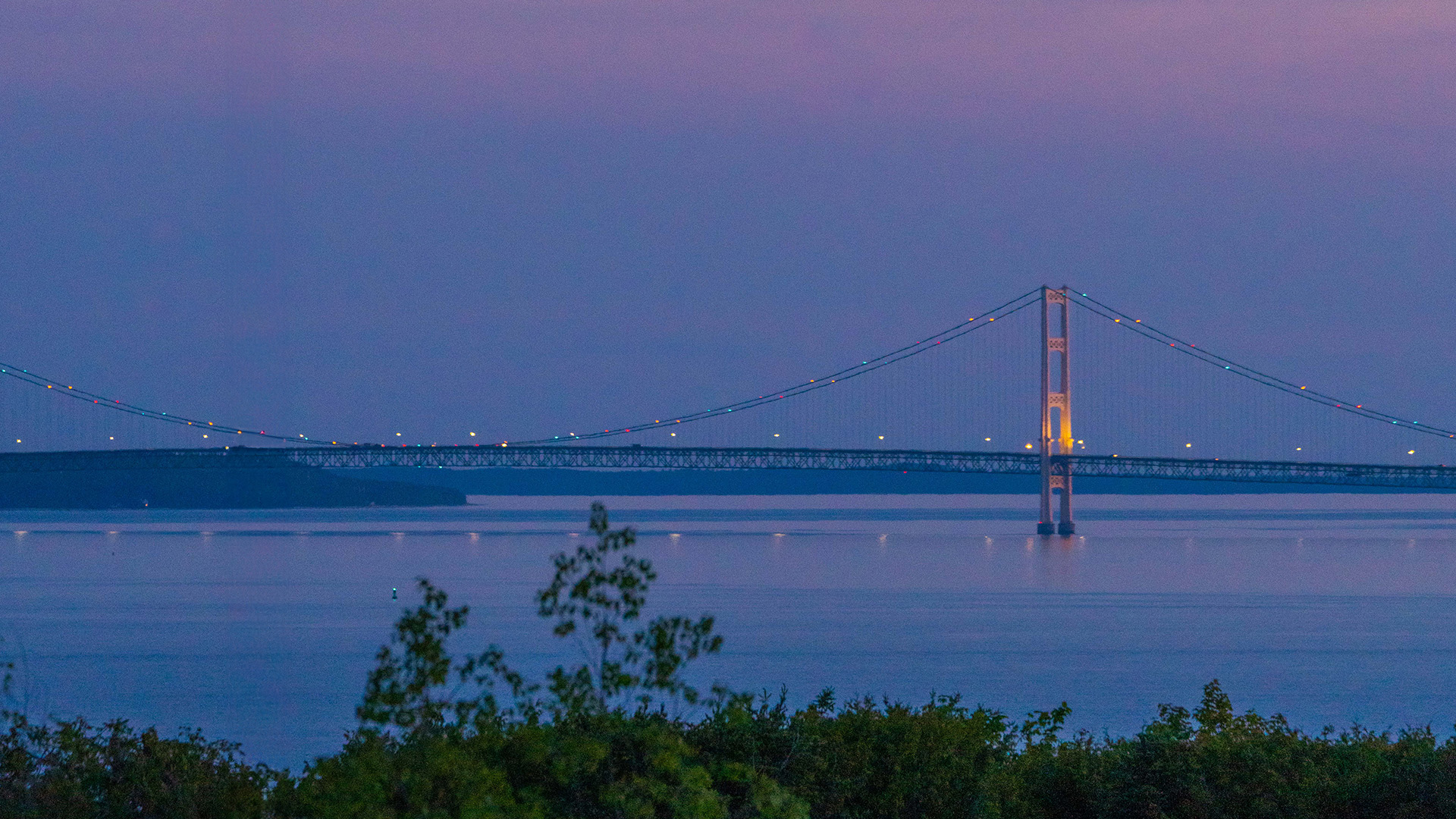 Mackinac Bridge over water with trees and bushes