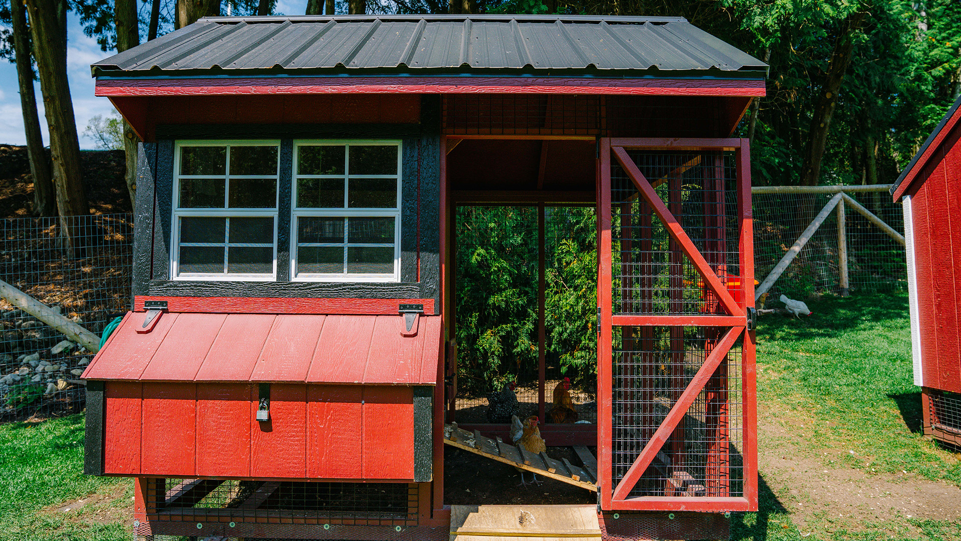 a chicken coop with a door open