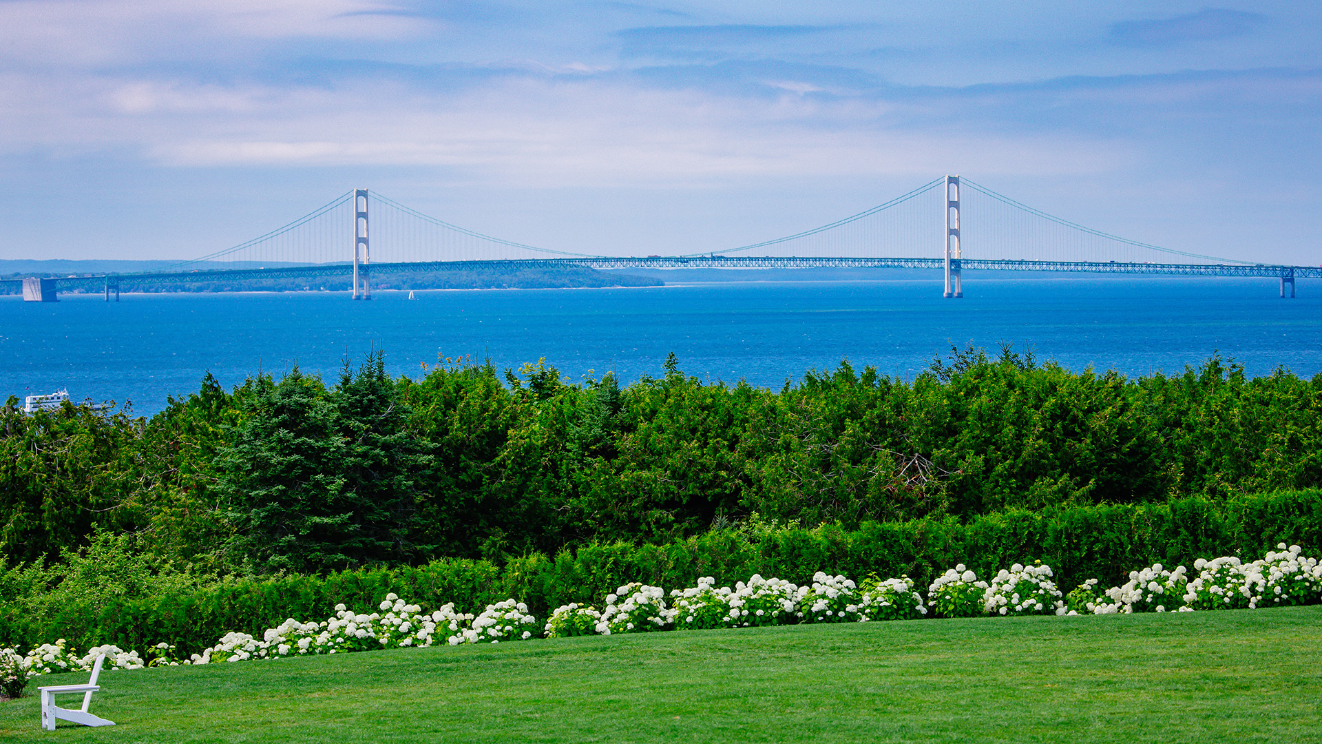 a bridge over water with trees and bushes