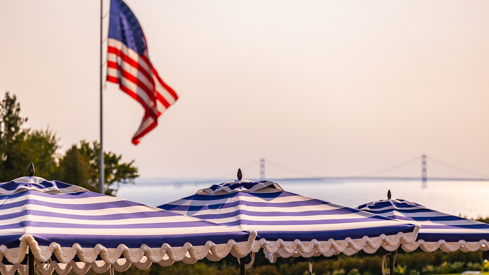 a flag on a pole