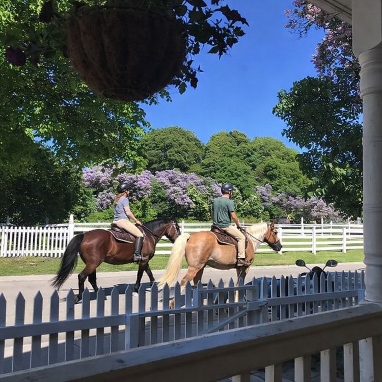 Saddle horses lined up outside a Mackinac Island stable on Market Street as riders receive safety instructions before horseback riding near The Inn at Stonecliffe.