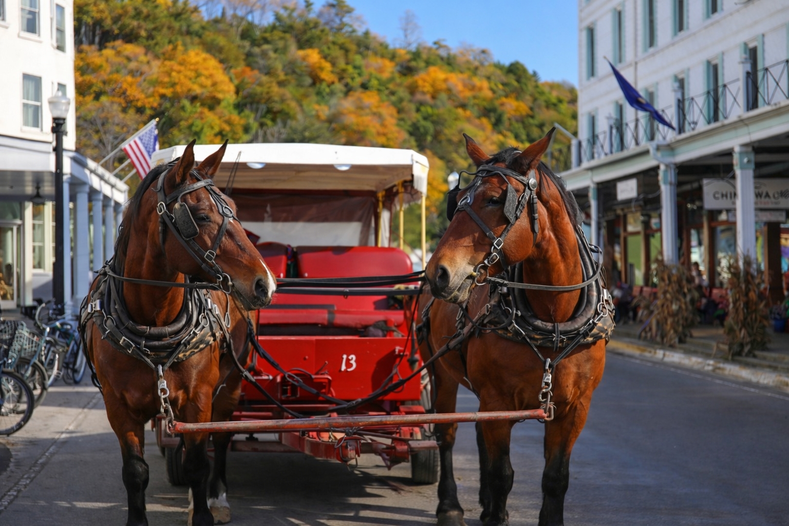Two harnessed carriage horses on Mackinac Island facing different directions along a quiet downtown street in autumn, illustrating the island’s car-free transportation and historic charm