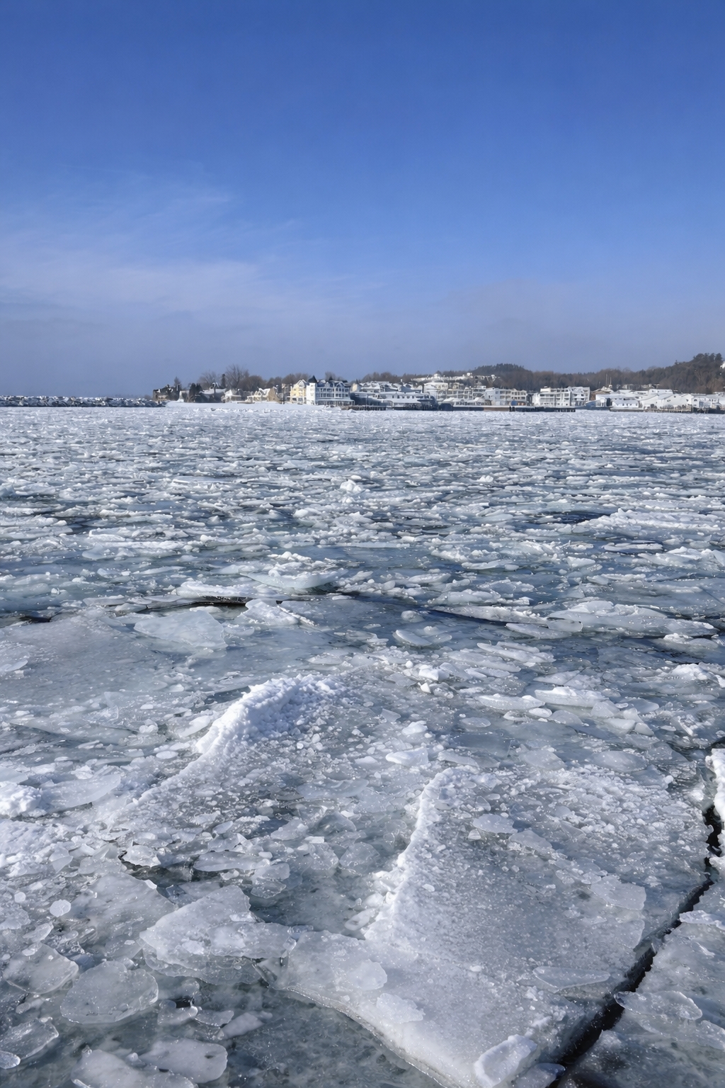 Pancake ice floating on a freshwater lake, showing round ice disks formed by freezing temperatures and wave action in the Great Lakes region