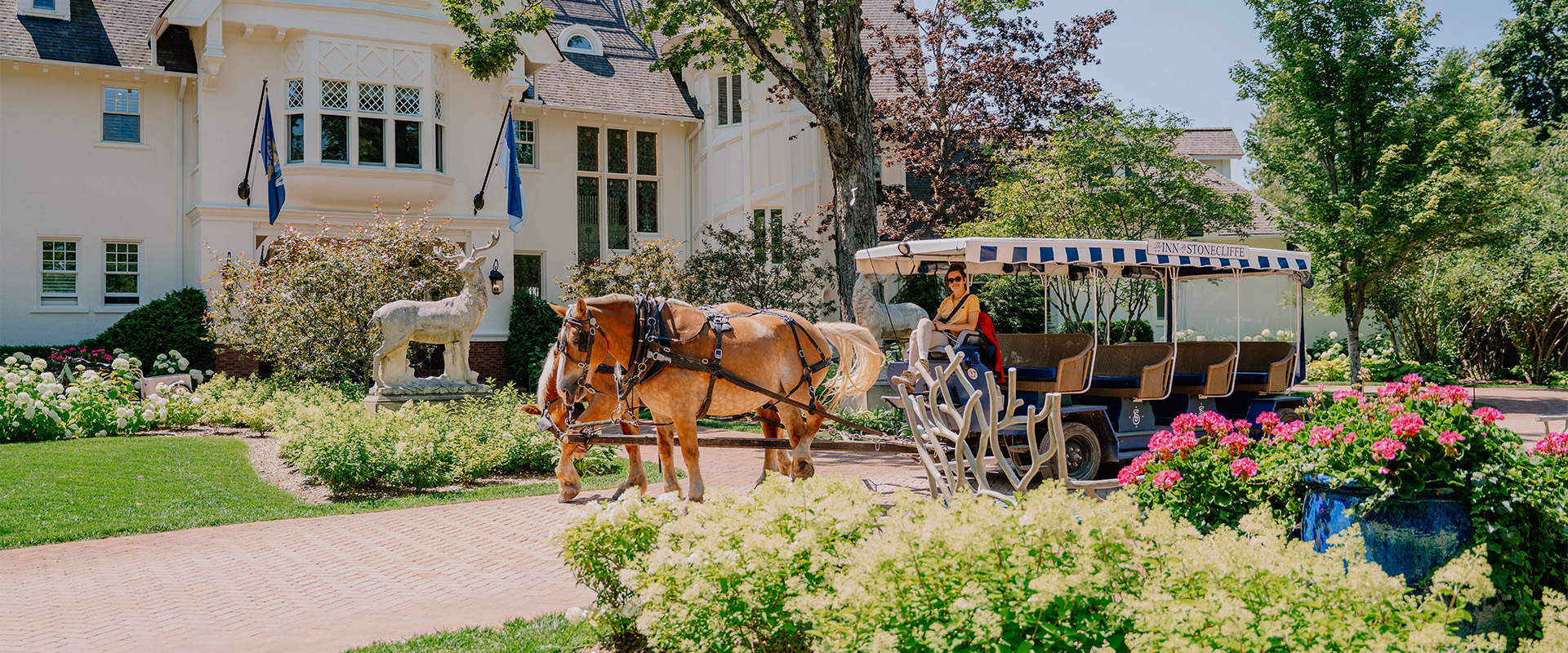 a horse drawn carriage with a woman in a yellow shirt
