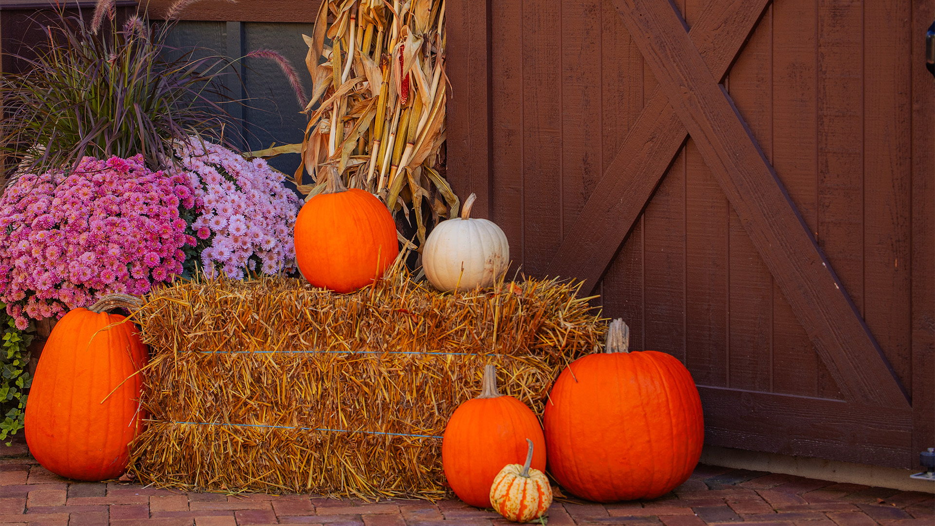 pumpkins on a bale of hay