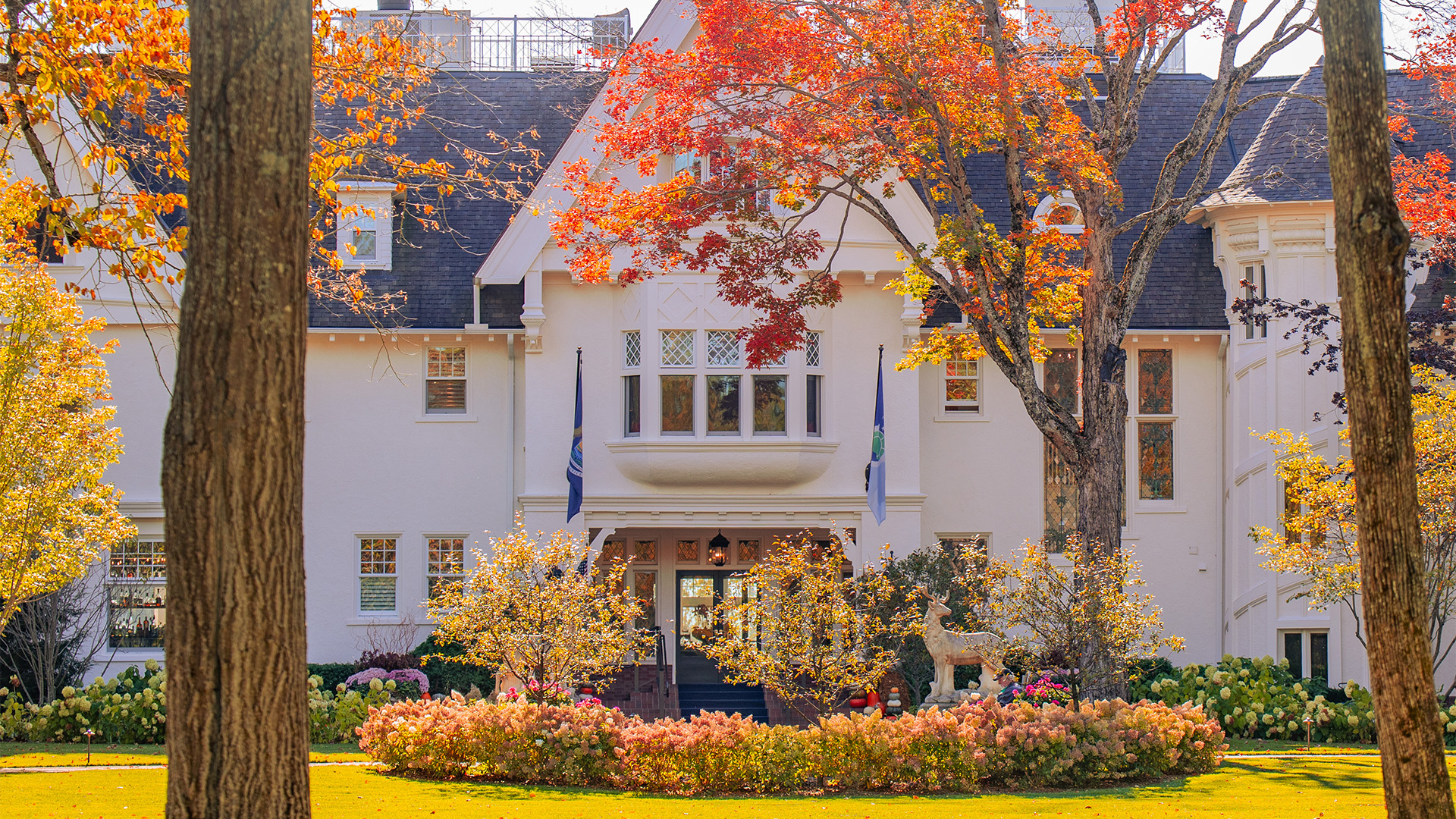 a white house with colorful trees and a lawn