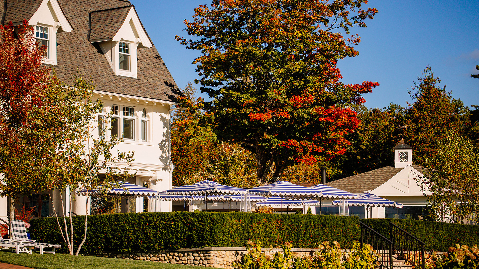 a house with a lawn and trees