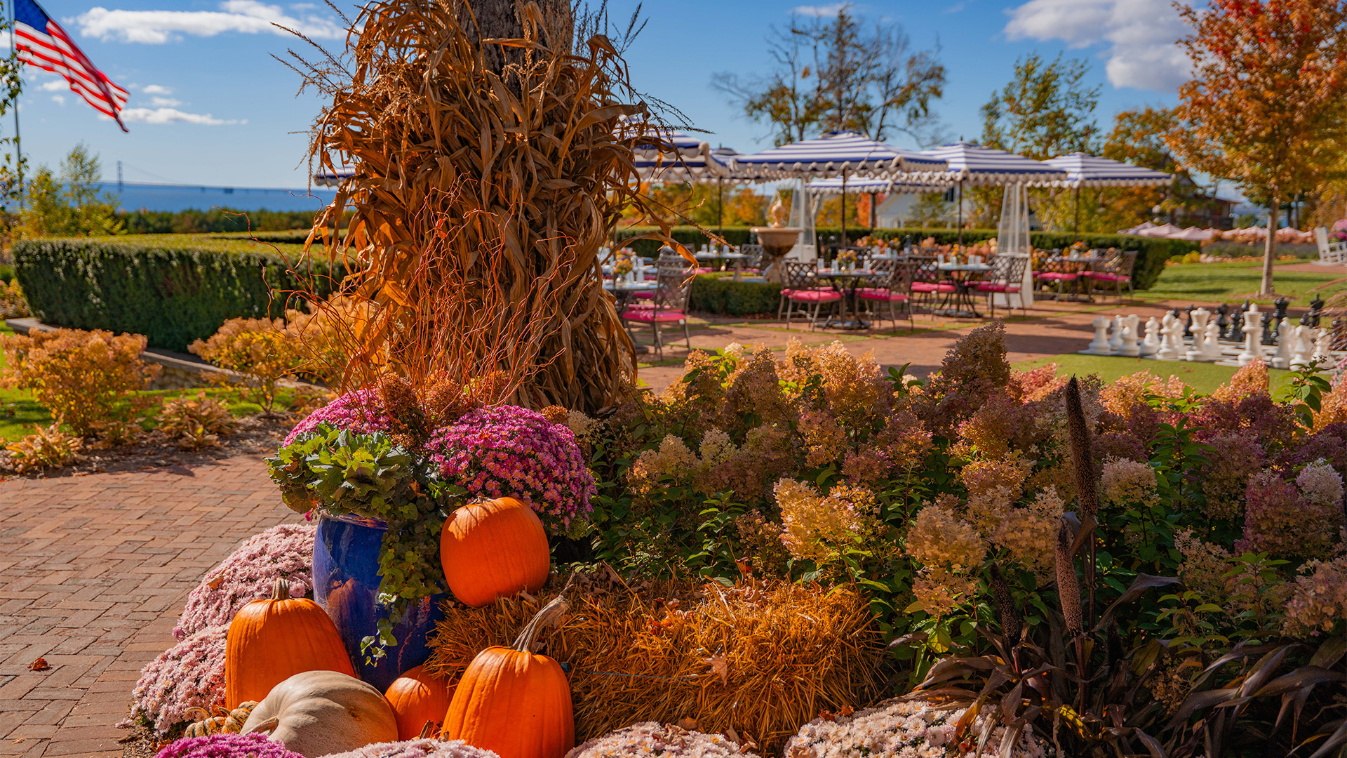 a pumpkins and flowers in a garden