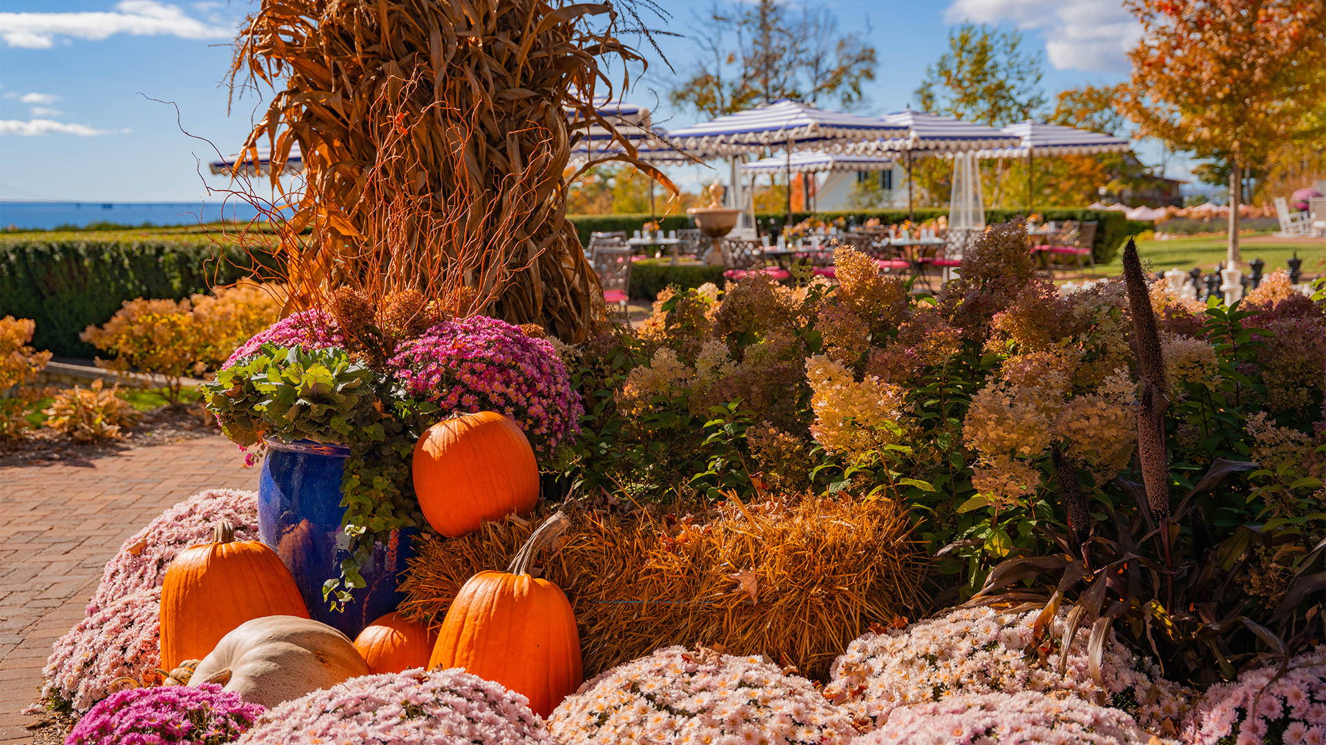 a pumpkins and flowers in a garden