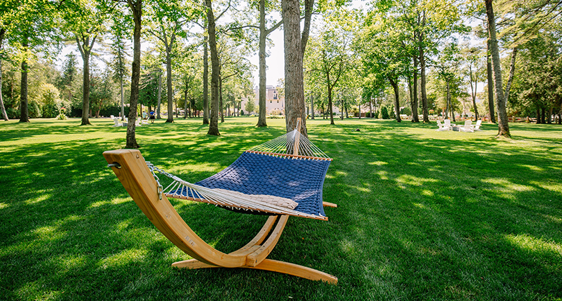 a hammock in a park