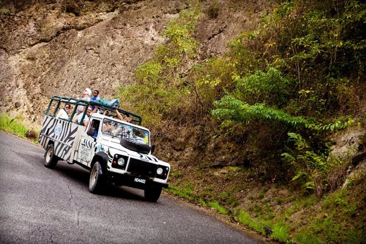 a group of people in a vehicle on a road