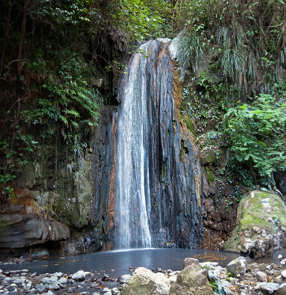 a waterfall in a forest