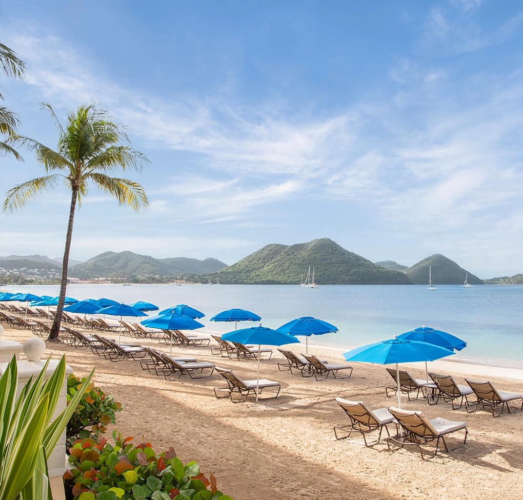 a beach with chairs and umbrellas
