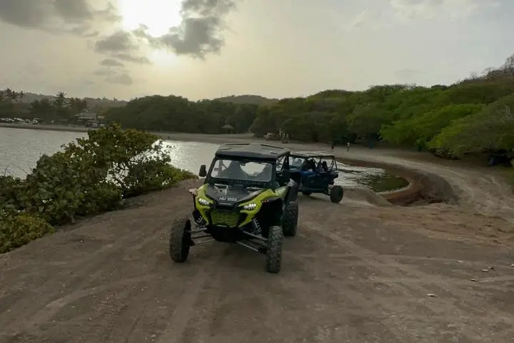 buggy tours