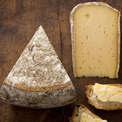 close up of mature cheese with two bread slices