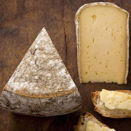 close up of mature cheese with two bread slices