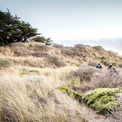 two people hiking in nature