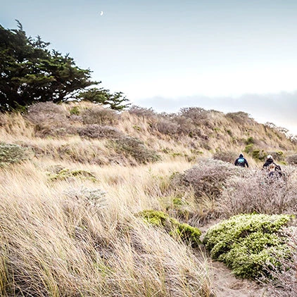 two people hiking in nature