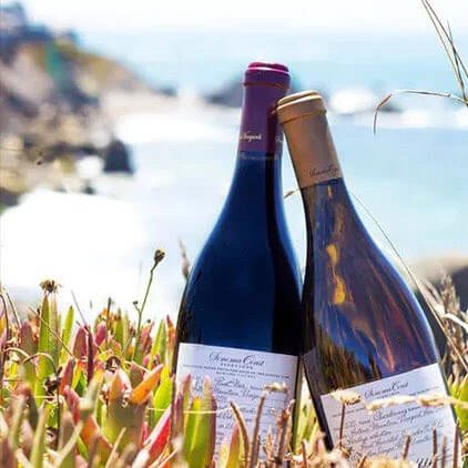 Close up of two wine bottles surrounded by nature
