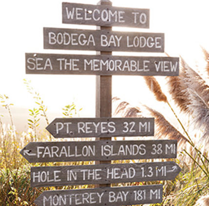 rustic wooden direction sign