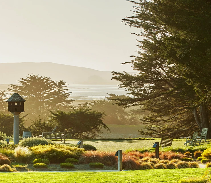 large open lawn with benches