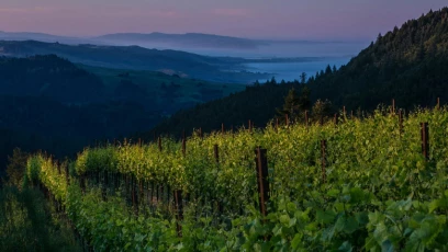 a green valley with trees and mountains