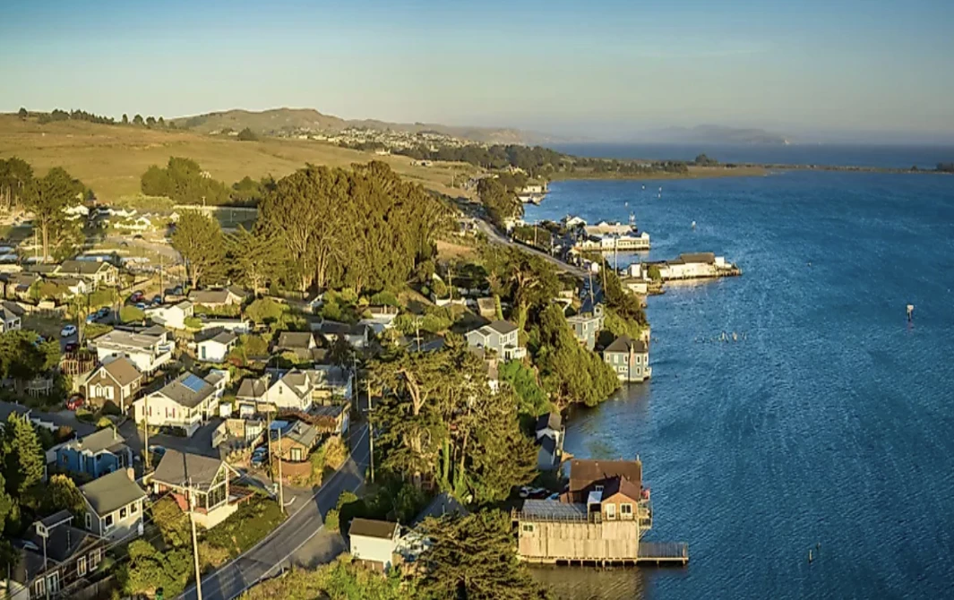 arial view of bodega bay and the sea