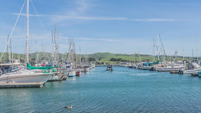 Experience the Bay in a Whole New Way