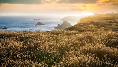 a grassy area next to a body of water