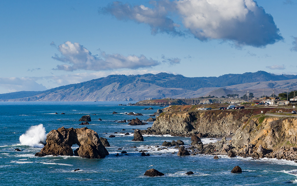 Coastal Birdwatching at The Lodge at Bodega Bay