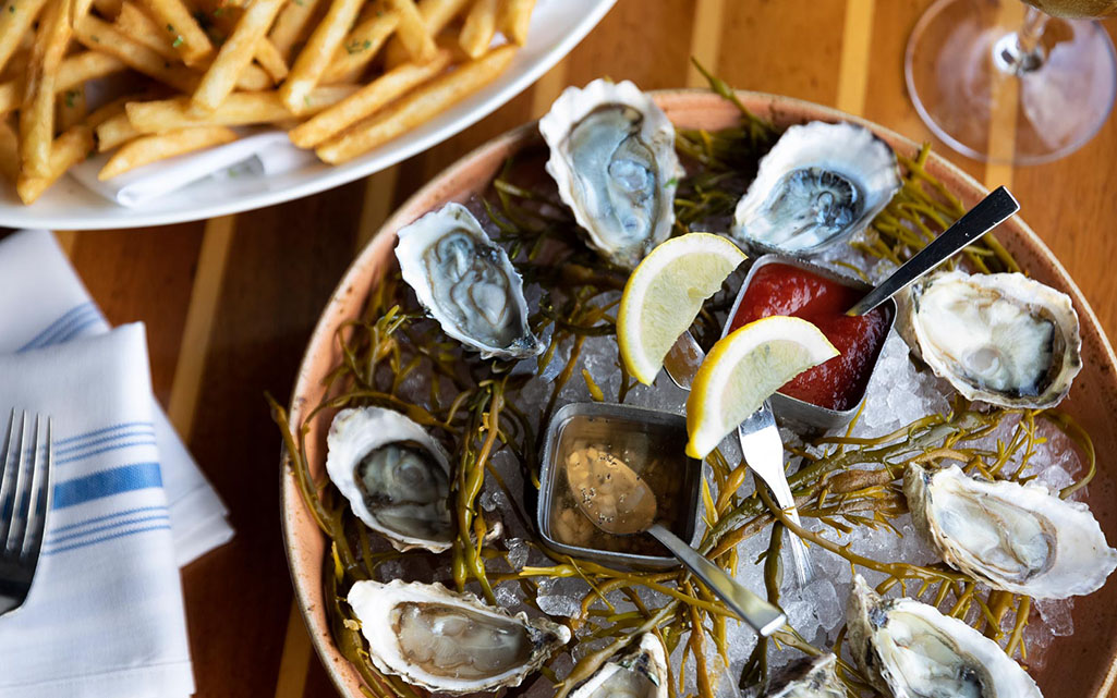 An Oyster Day Trip to Tomales Bay
