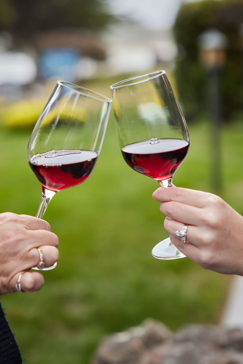 a pair of hands holding wine glasses