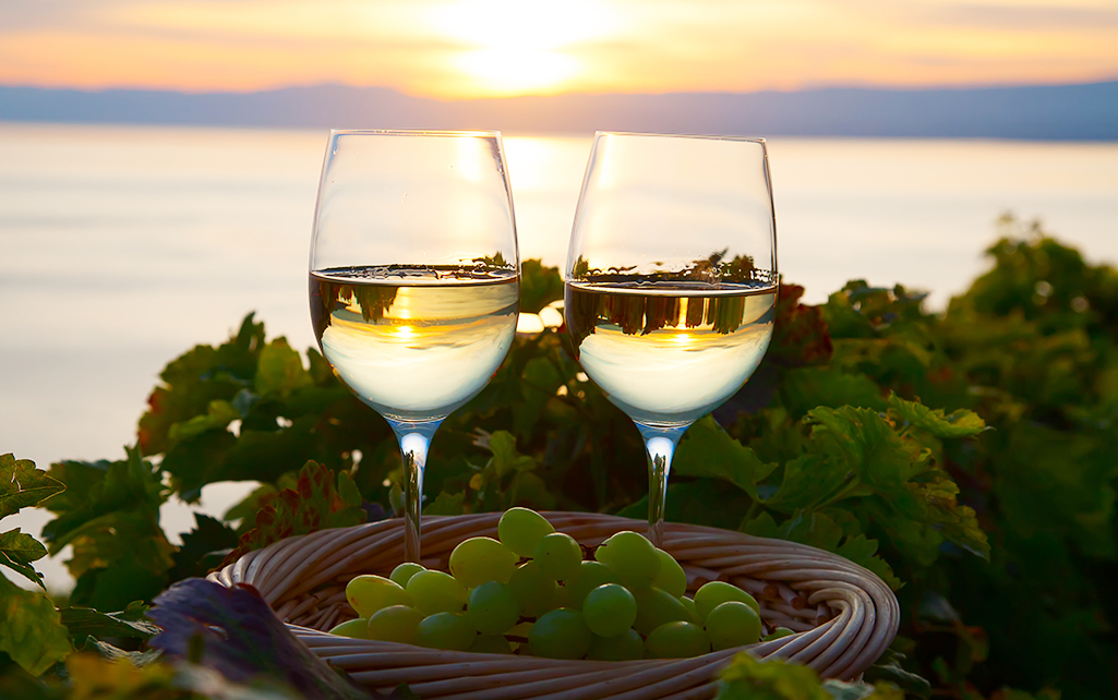 Wine Country Adventures Near The Coast