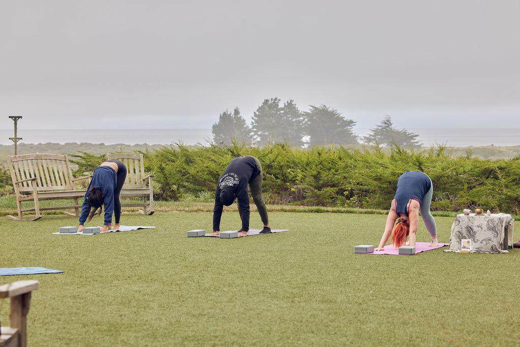a group of people doing yoga