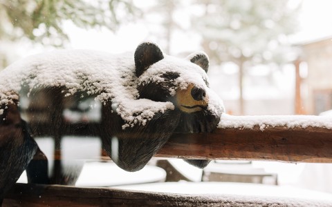 a bear statue with snow on it