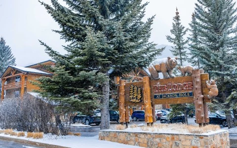 a sign with a couple of bears and trees in the snow